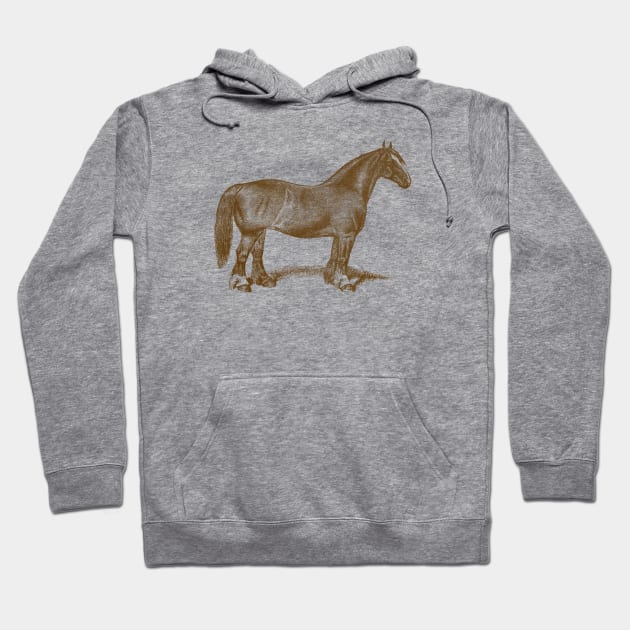 Draft Horse Mare Vintage Illustration Hoodie by Biophilia